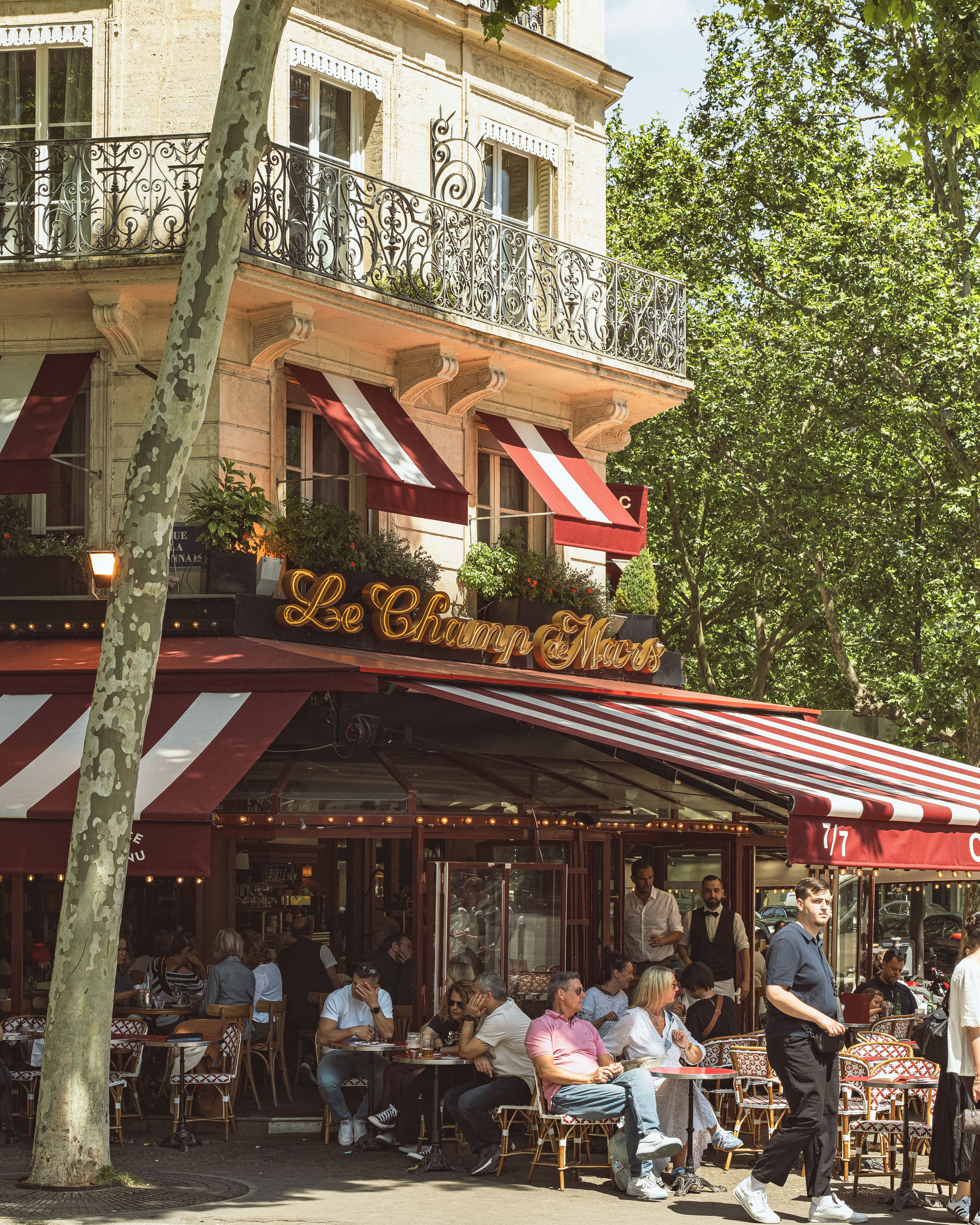 Parisian Cafe Culture and the Art of Observation